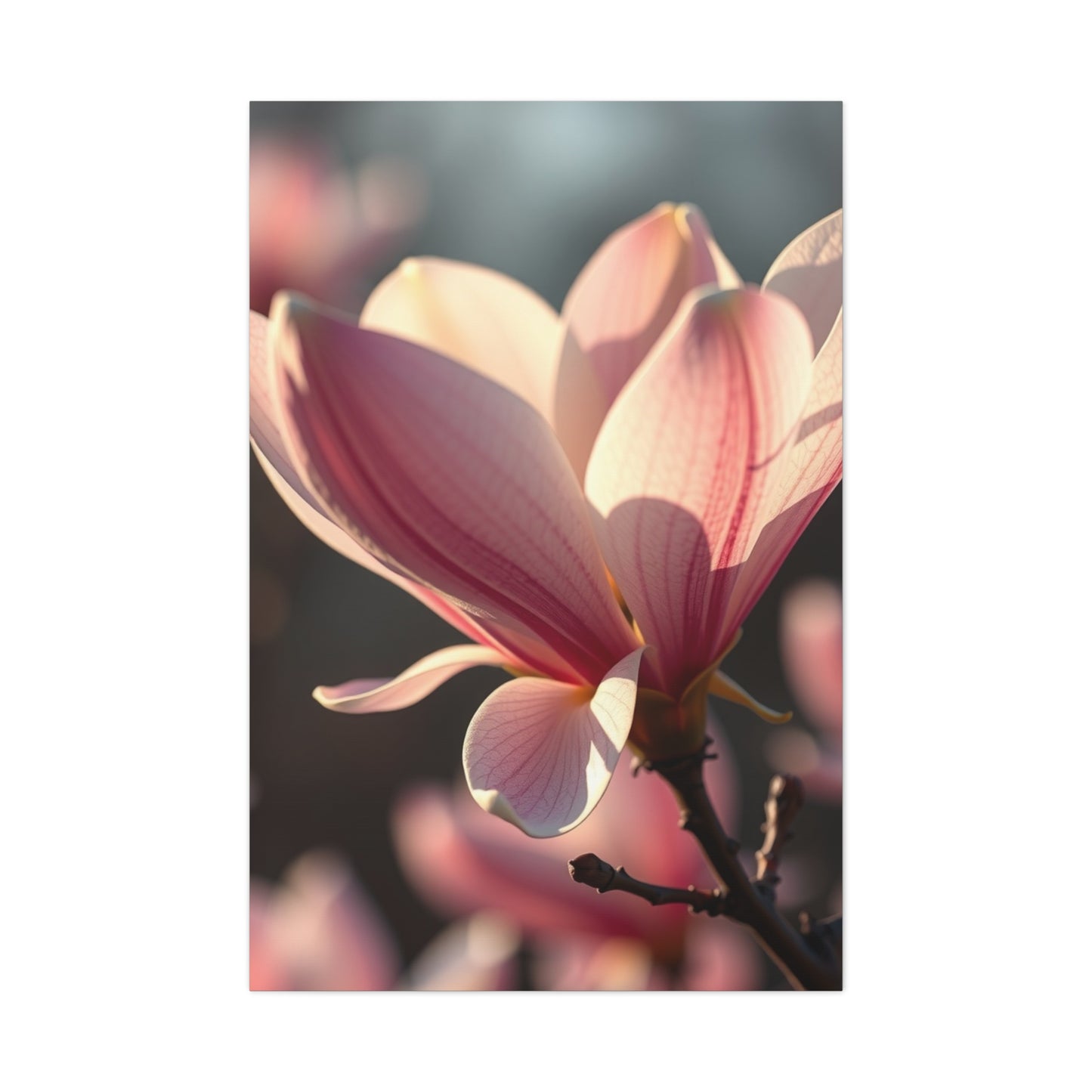 Supreme Magnolia Art Collection Wall Art & Canvas Print