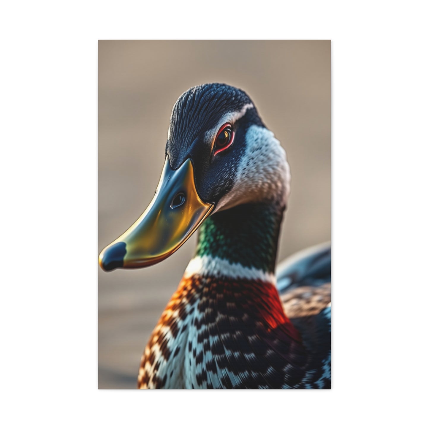 Duck Art Refined Canvas Wall Art & Canvas Print