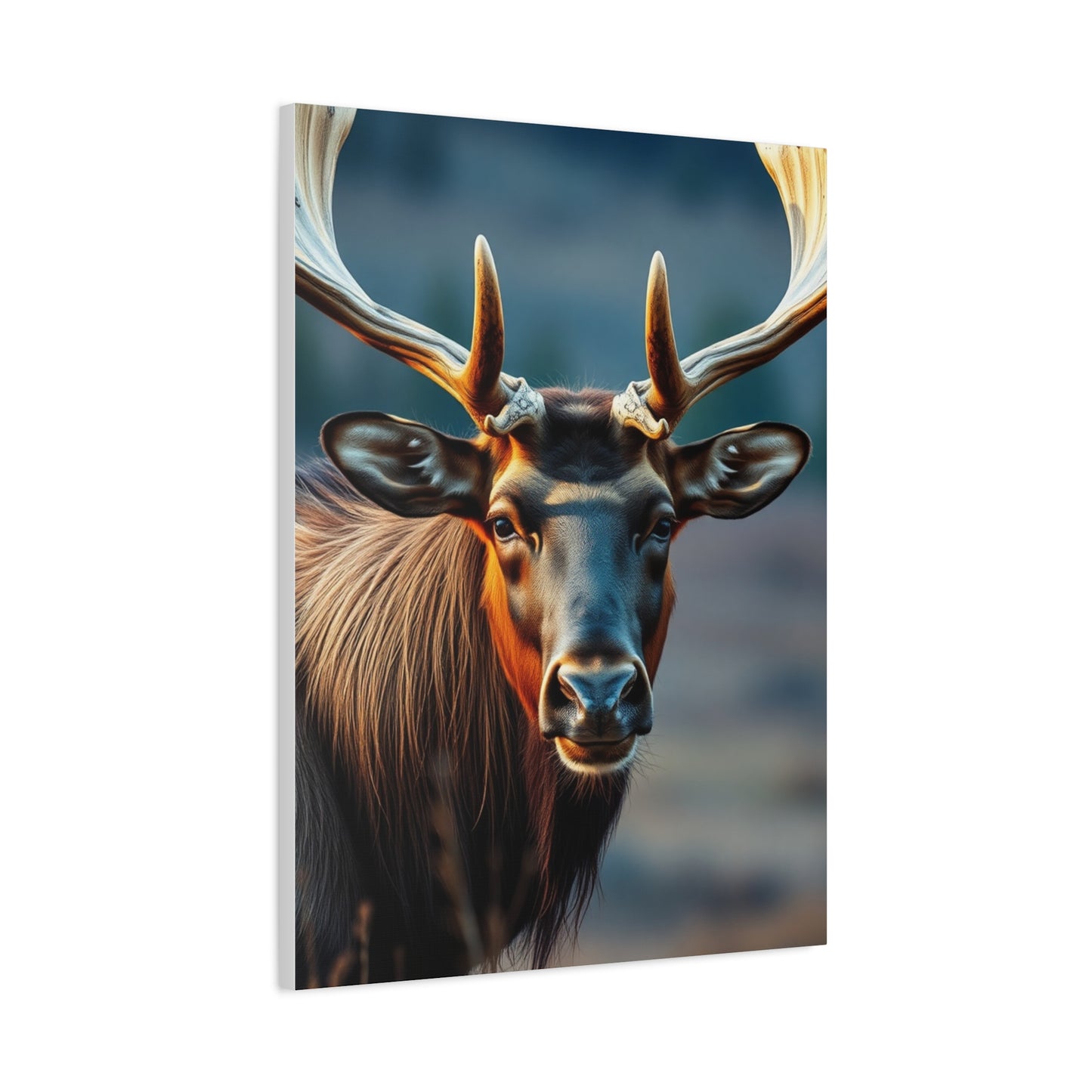 Elite Elk Art Vision Wall Art & Canvas Print