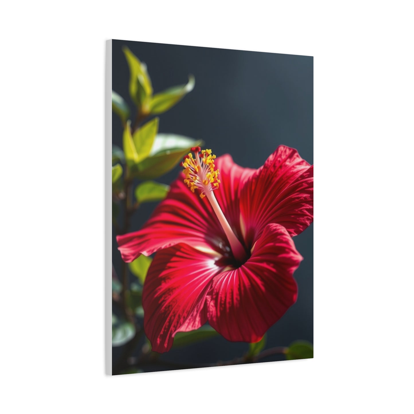 Hibiscus Flower Art Supreme Gallery Wall Art & Canvas Print