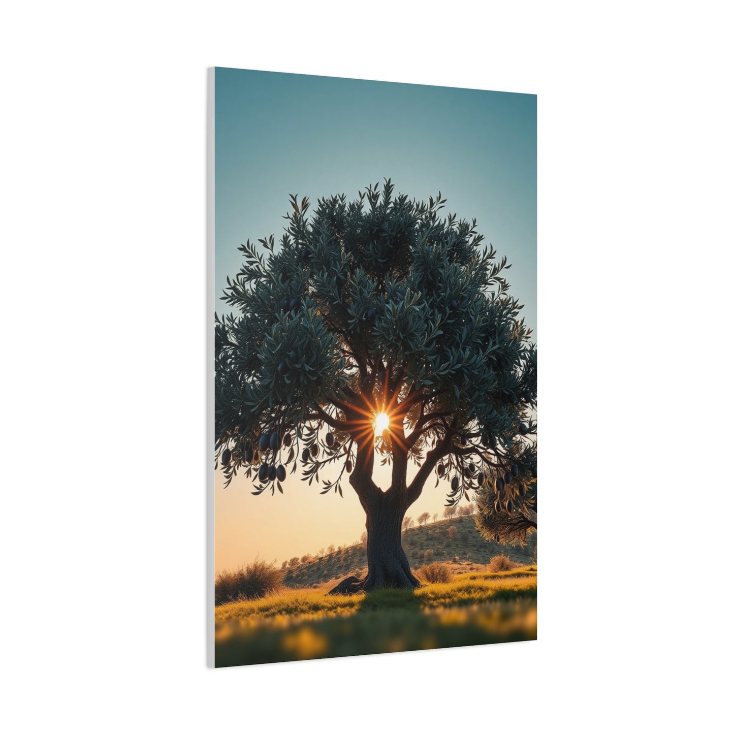 Collection Olive Tree Art Art Wall Art & Canvas Print