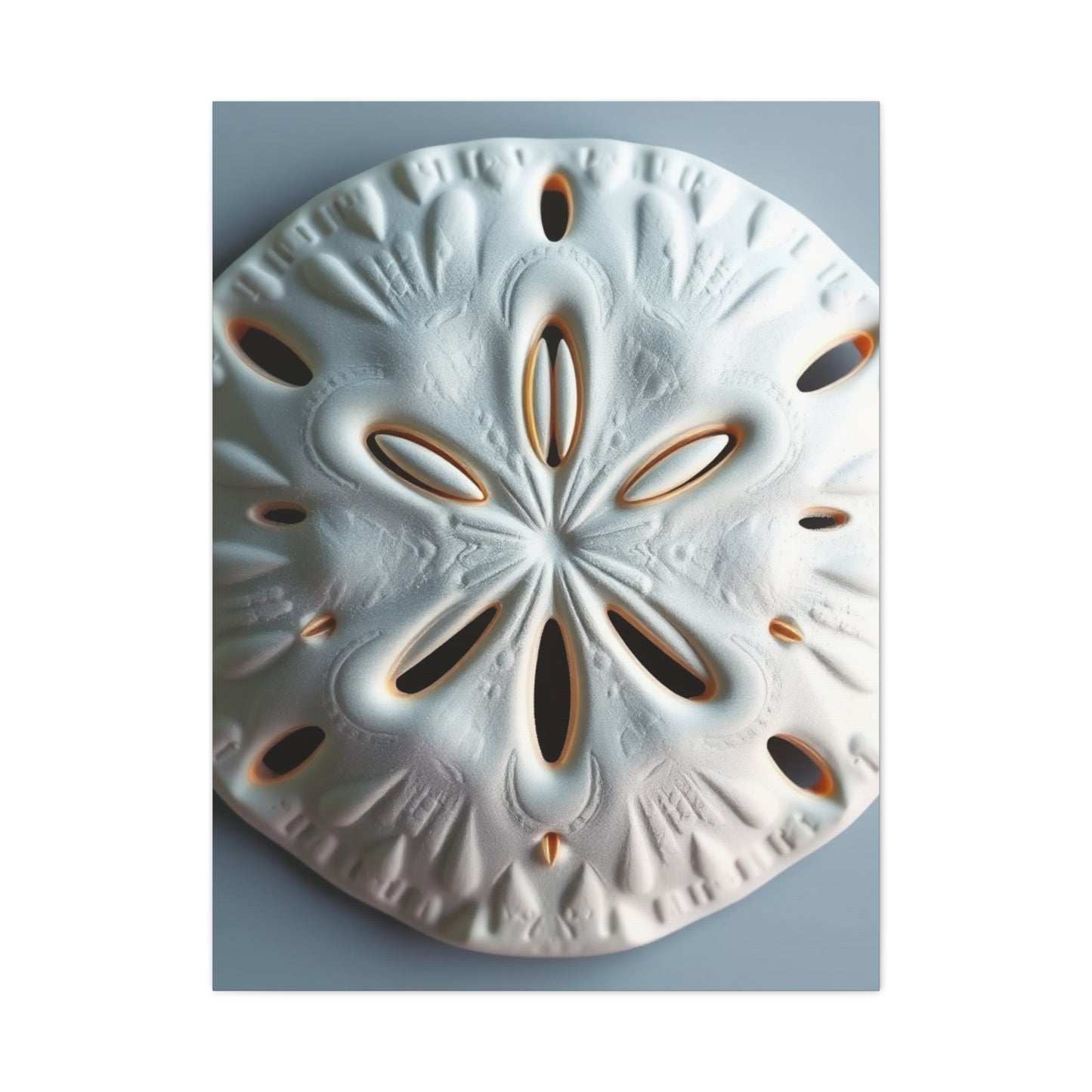 Supreme Sand Dollar Art Collection Wall Art & Canvas Print