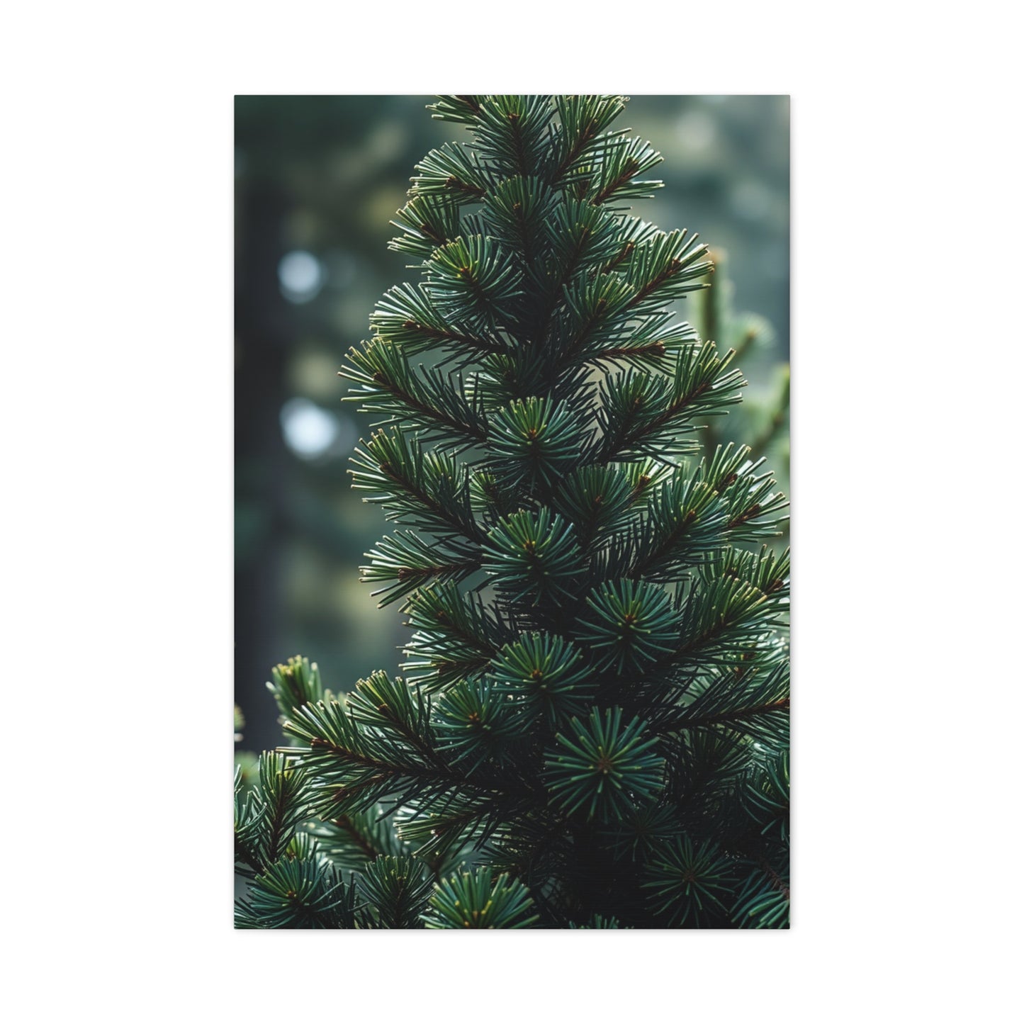 Pine Tree Art Refined Canvas Wall Art & Canvas Print
