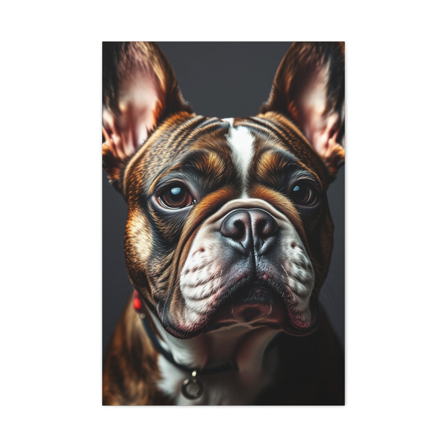Supreme French Bulldog Art Collection Wall Art & Canvas Print