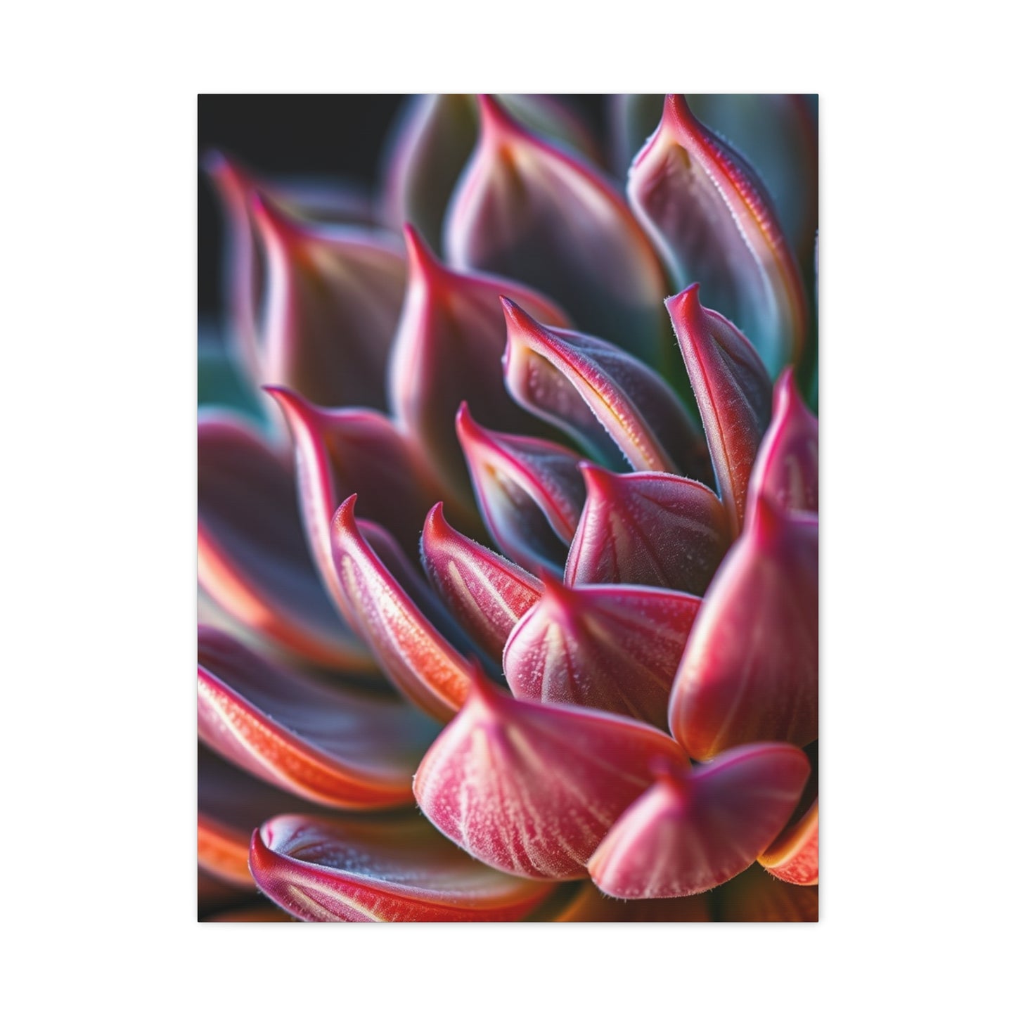 Collection Succulent Art Art Wall Art & Canvas Print