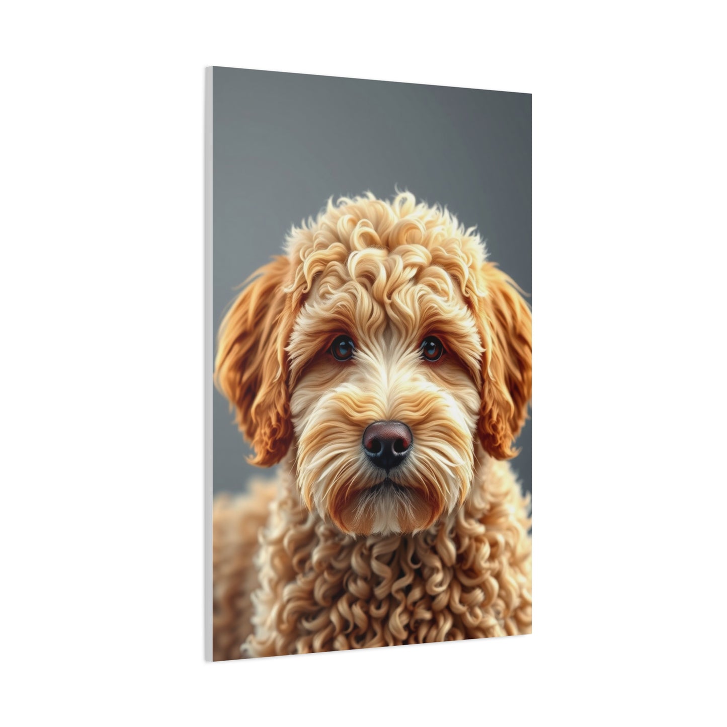 Supreme Golden Doodle Art Collection Wall Art & Canvas Print