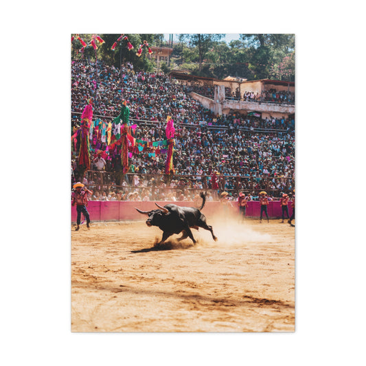 Latin American Bull Festival Arena Wall Art & Canvas Print