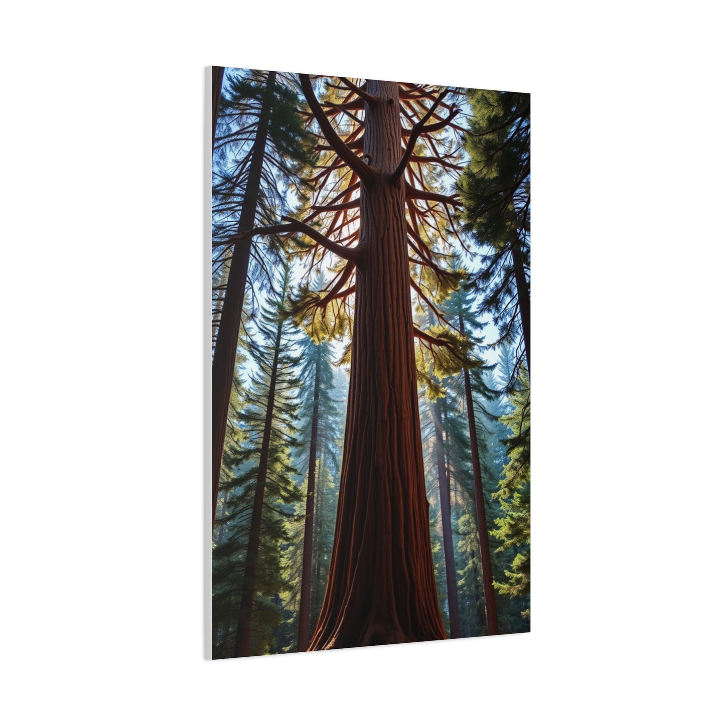 Masterpiece Redwood Tree Art Vision Wall Art & Canvas Print