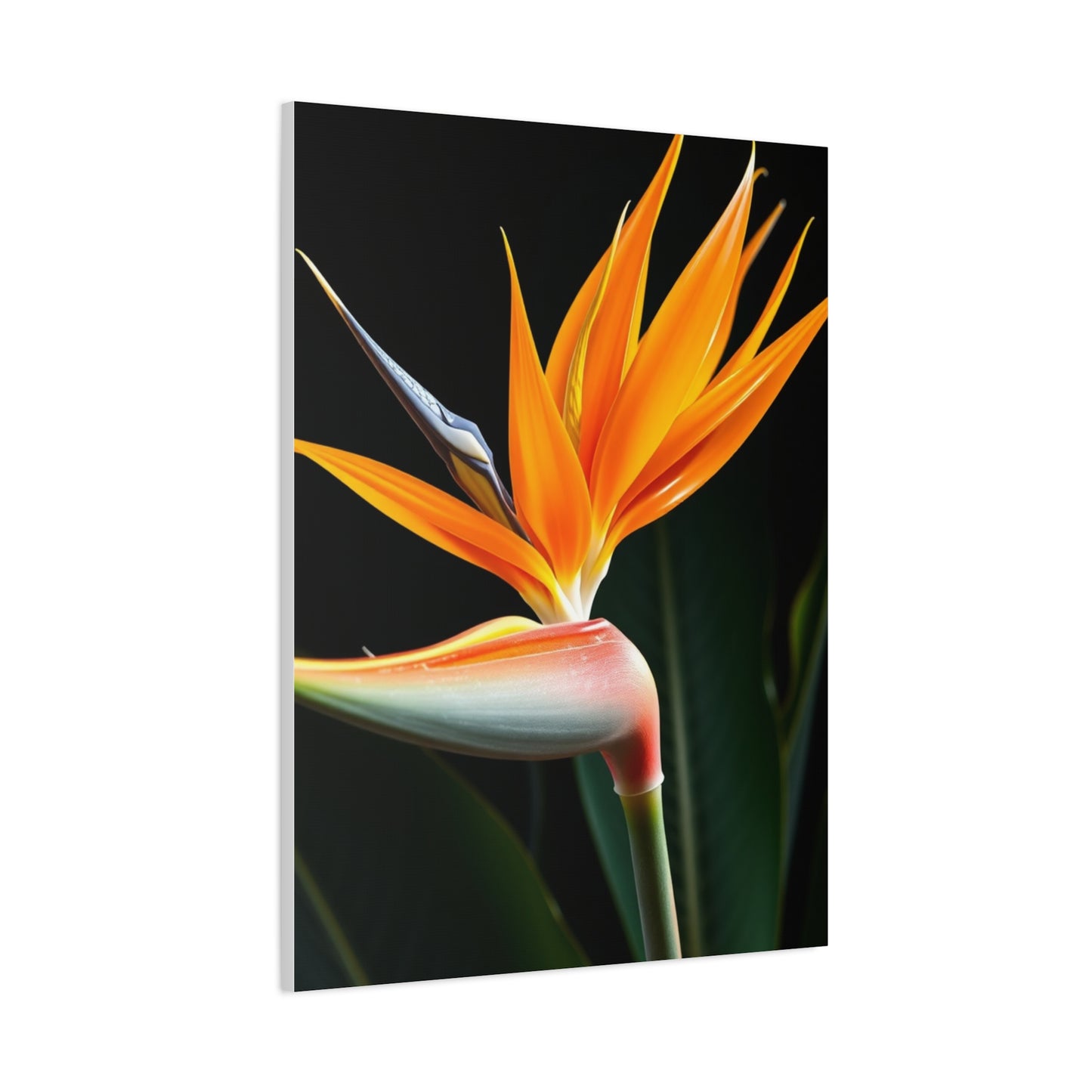 Vision Bird of Paradise Plant Art Art Wall Art & Canvas Print