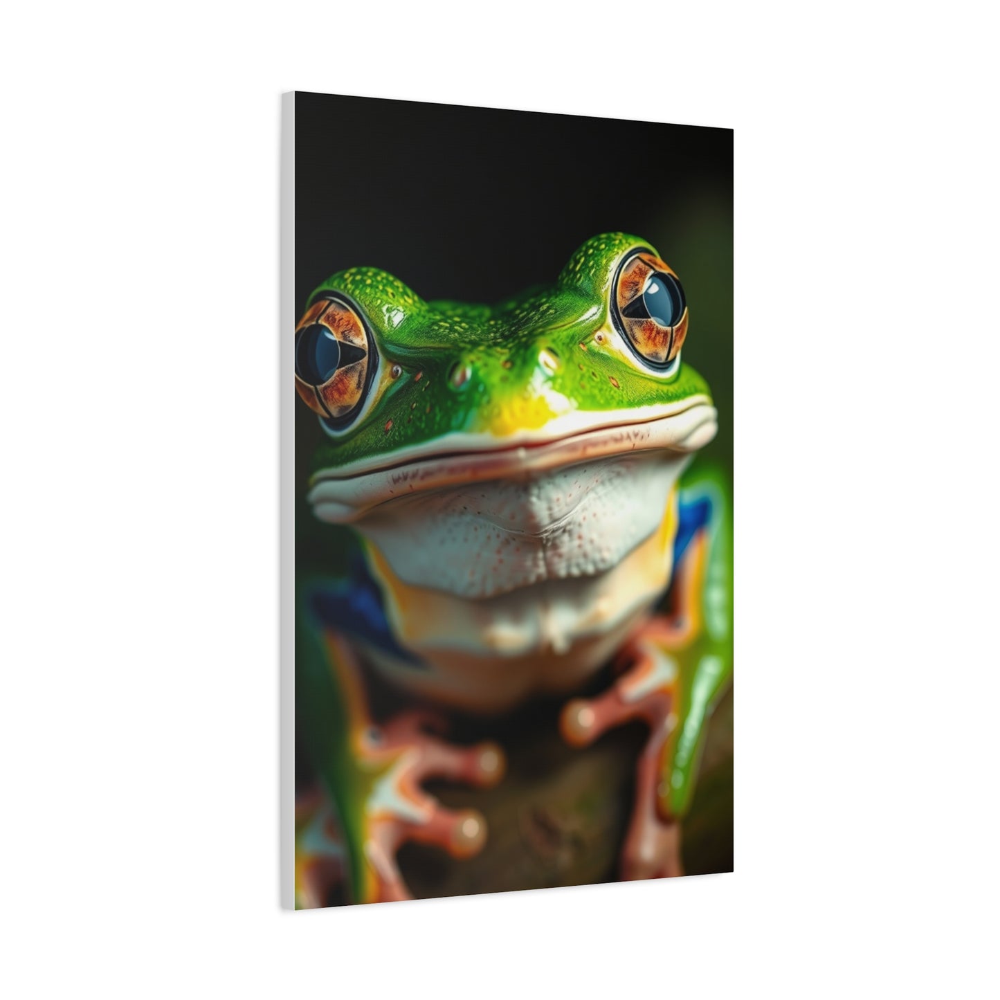 Frog Art Luxury Canvas Wall Art & Canvas Print