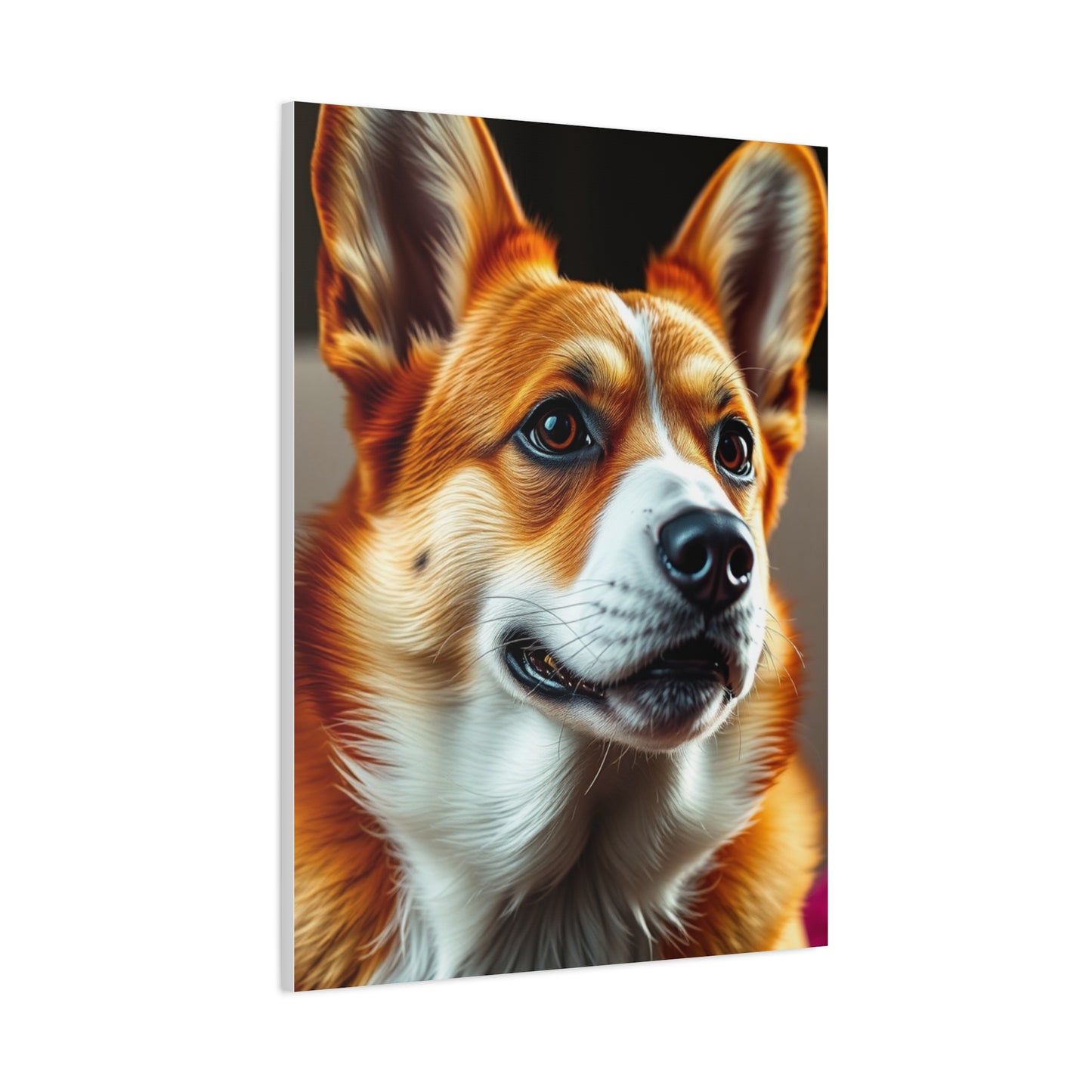Supreme Corgi Dog Art Collection Wall Art & Canvas Print