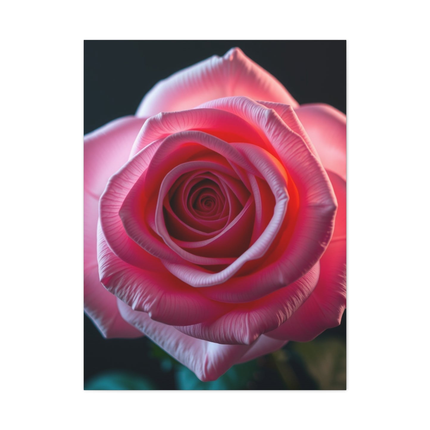 Rose Art Luxury Canvas Wall Art & Canvas Print