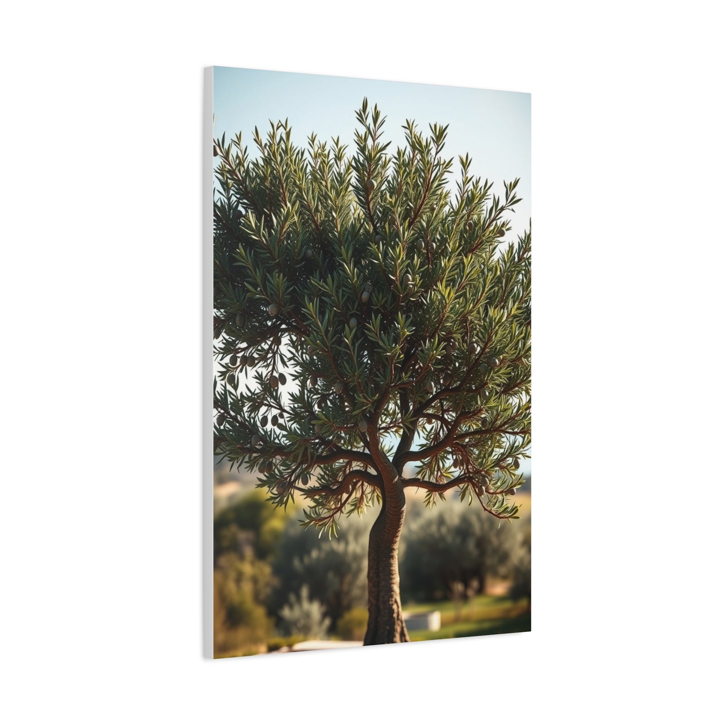 Supreme Olive Tree Art Collection Wall Art & Canvas Print