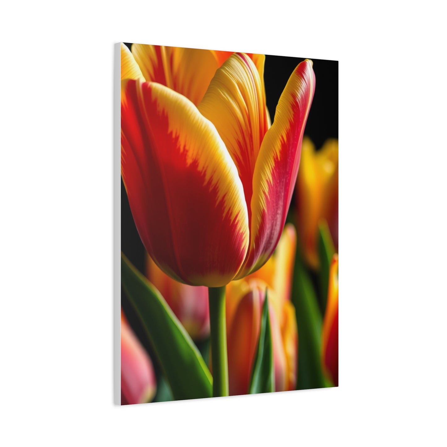 Tulip Flower Art Luxury Canvas Wall Art & Canvas Print