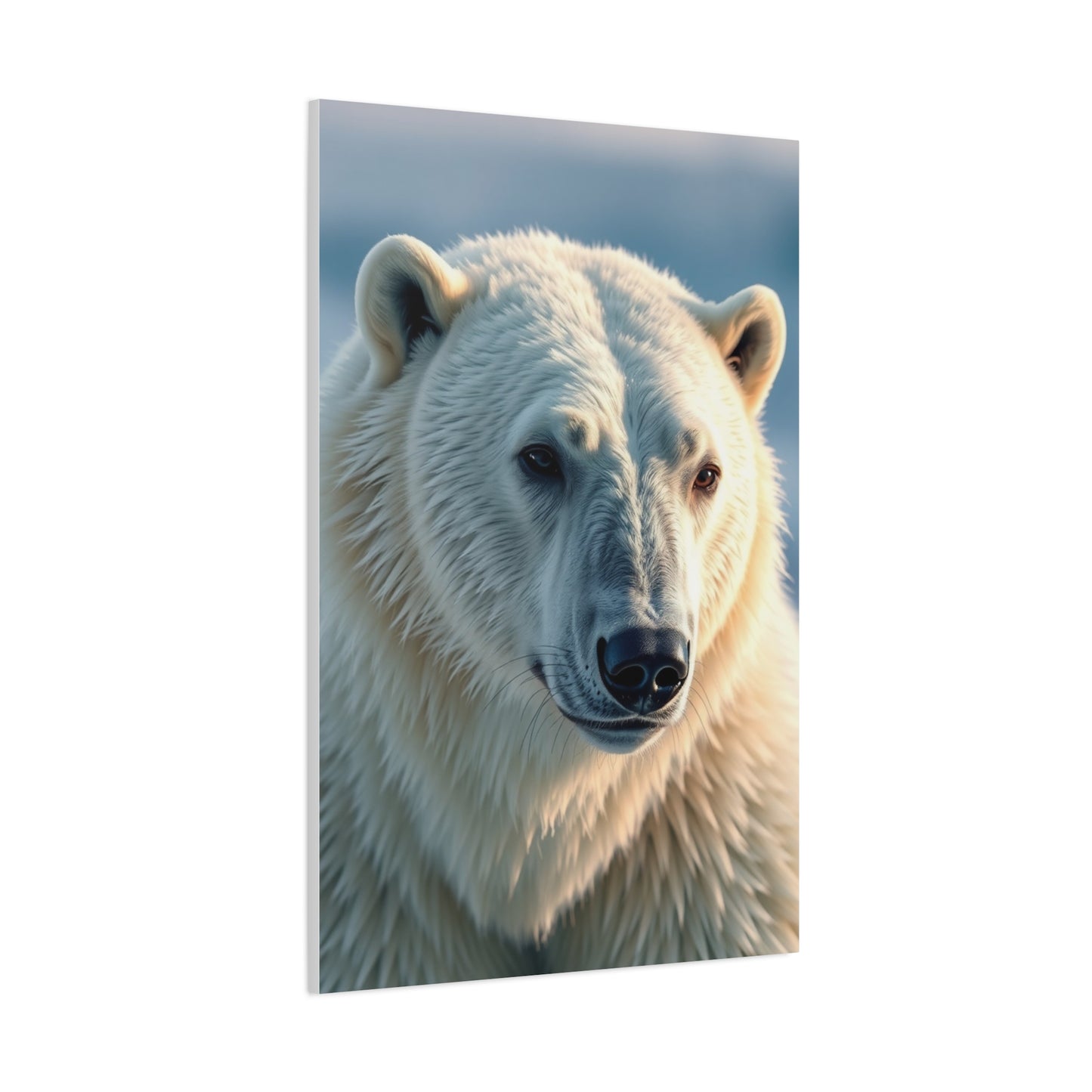 Polar Bear Art Luxury Canvas Wall Art & Canvas Print