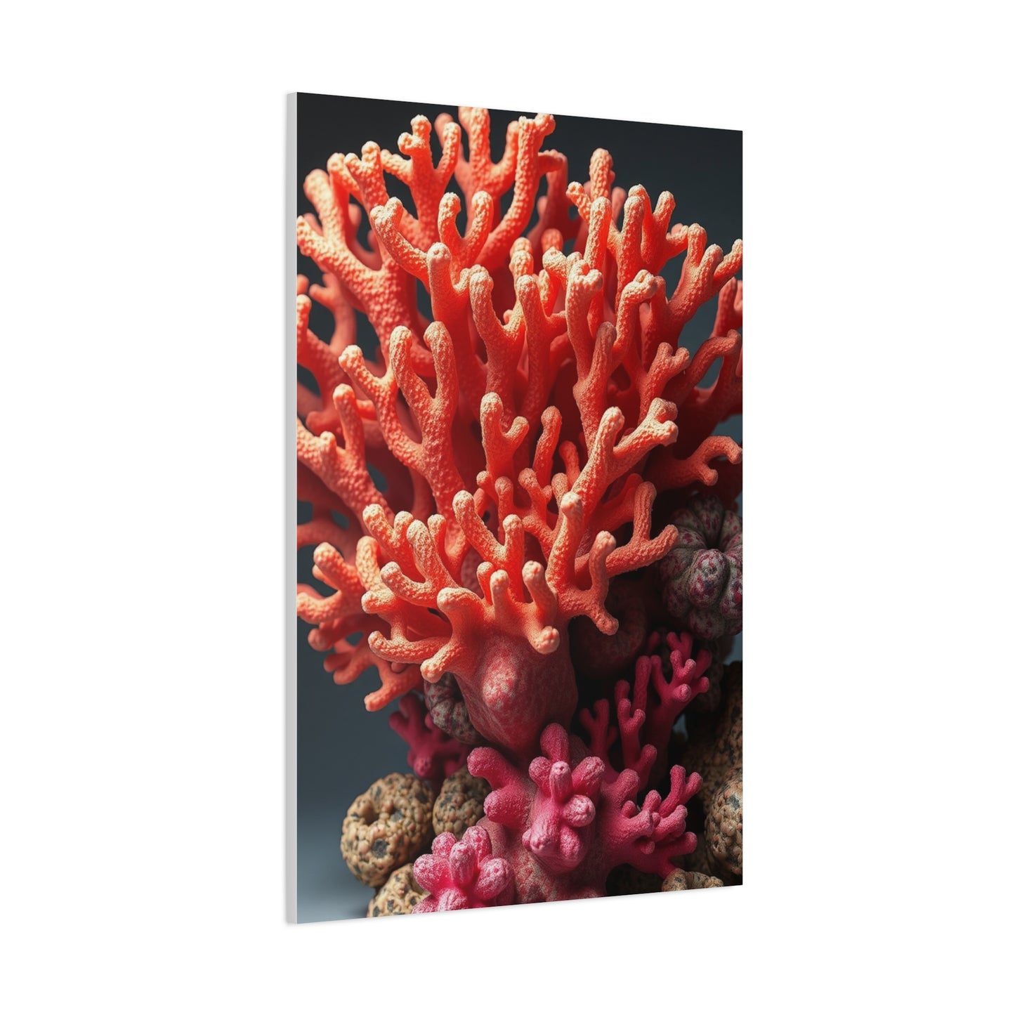 Collection Coral Art Art Wall Art & Canvas Print