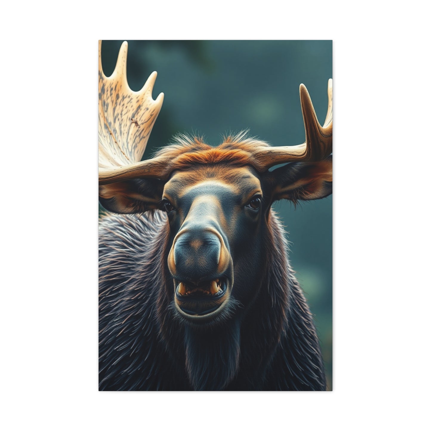 Elite Moose Art Vision Wall Art & Canvas Print
