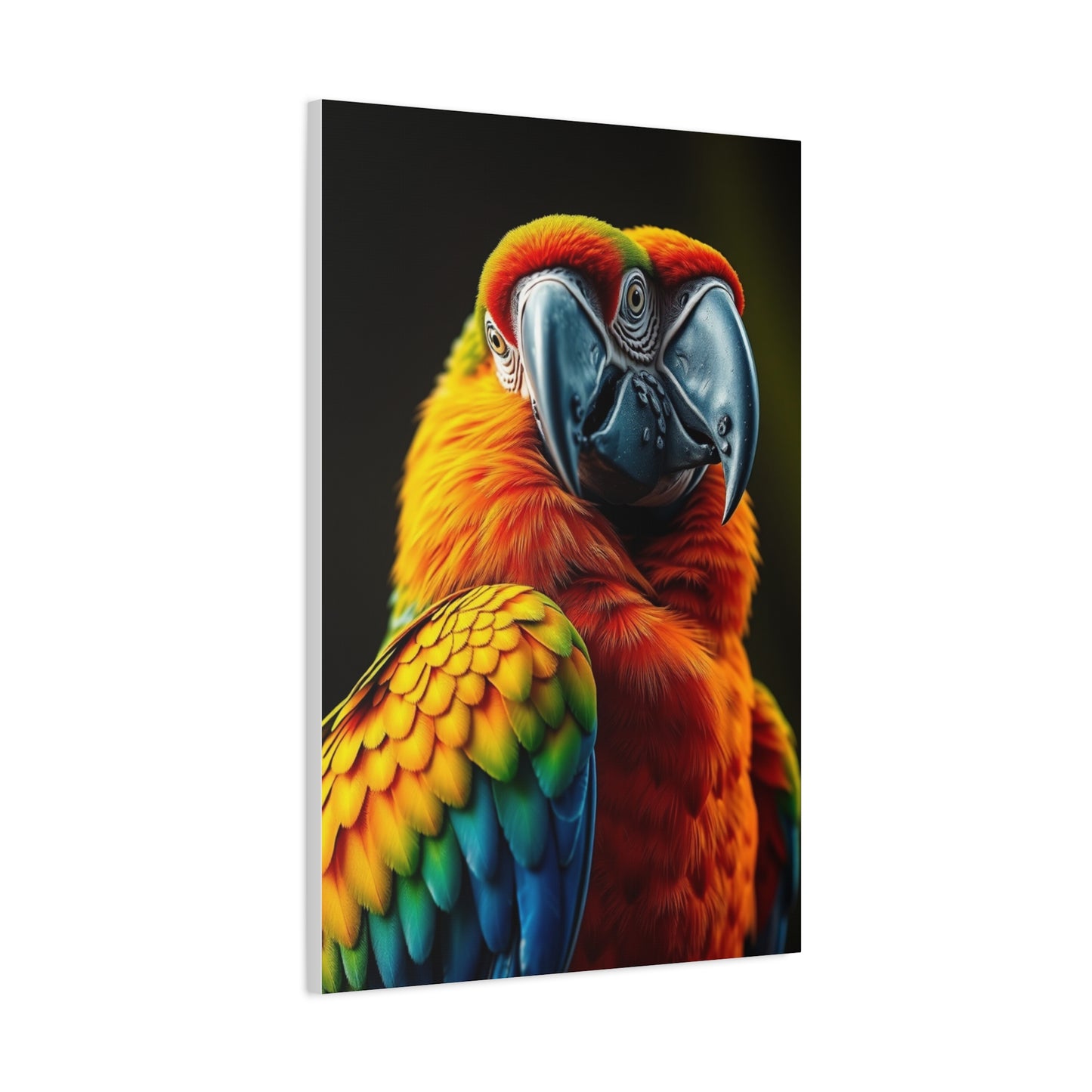 Supreme Parrot Art Collection Wall Art & Canvas Print