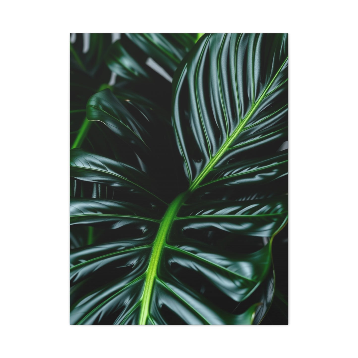 Monstera Plant Art Refined Canvas Wall Art & Canvas Print