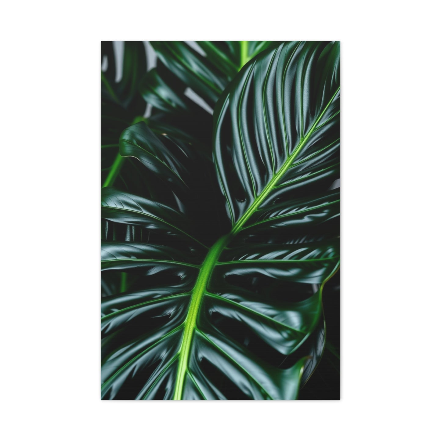 Monstera Plant Art Refined Canvas Wall Art & Canvas Print