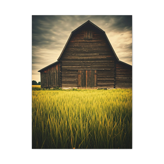 Weathered Barn in Tall Green Fields Wall Art & Canvas Prints