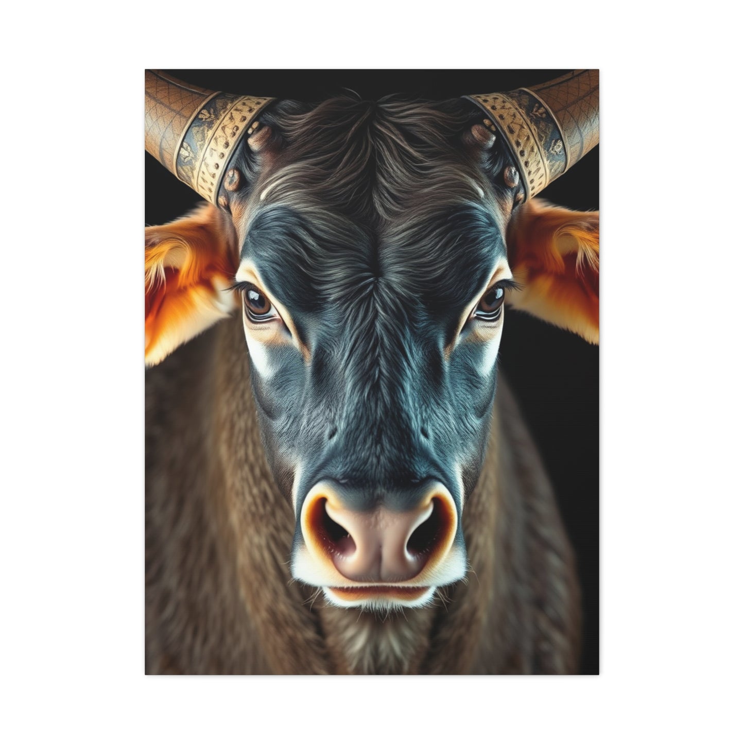 Taurus Art Supreme Gallery Wall Art & Canvas Print
