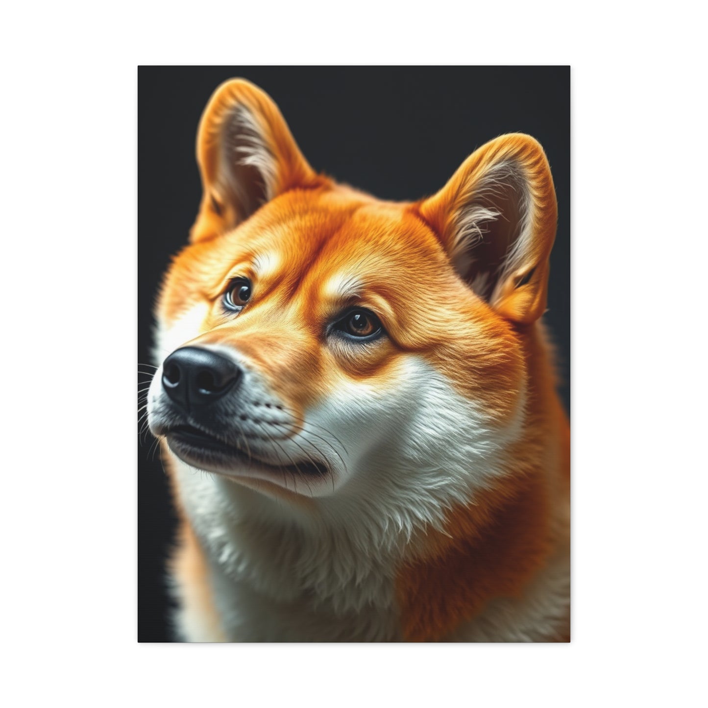 Shiba Inu Dog Art Luxury Canvas Wall Art & Canvas Print