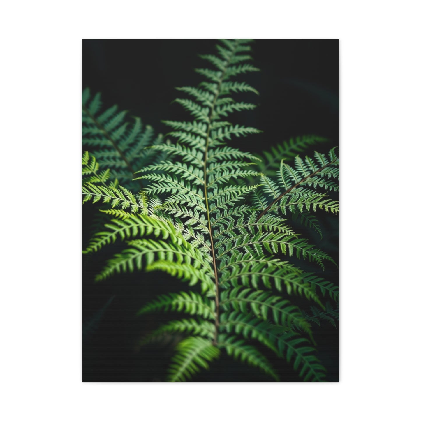 Fern Art Refined Canvas Wall Art & Canvas Print