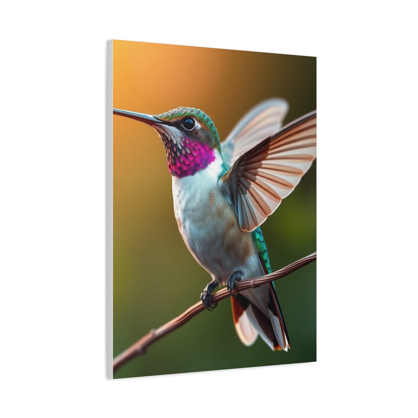 Humming Bird Art Supreme Gallery Wall Art & Canvas Print