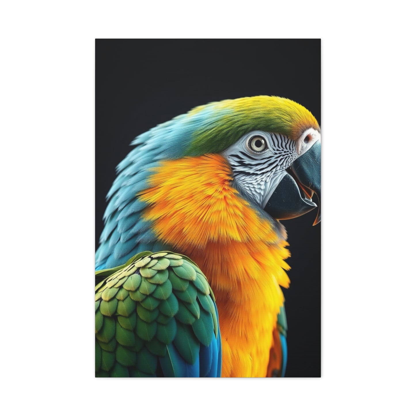 Parrot Art Luxury Canvas Wall Art & Canvas Print