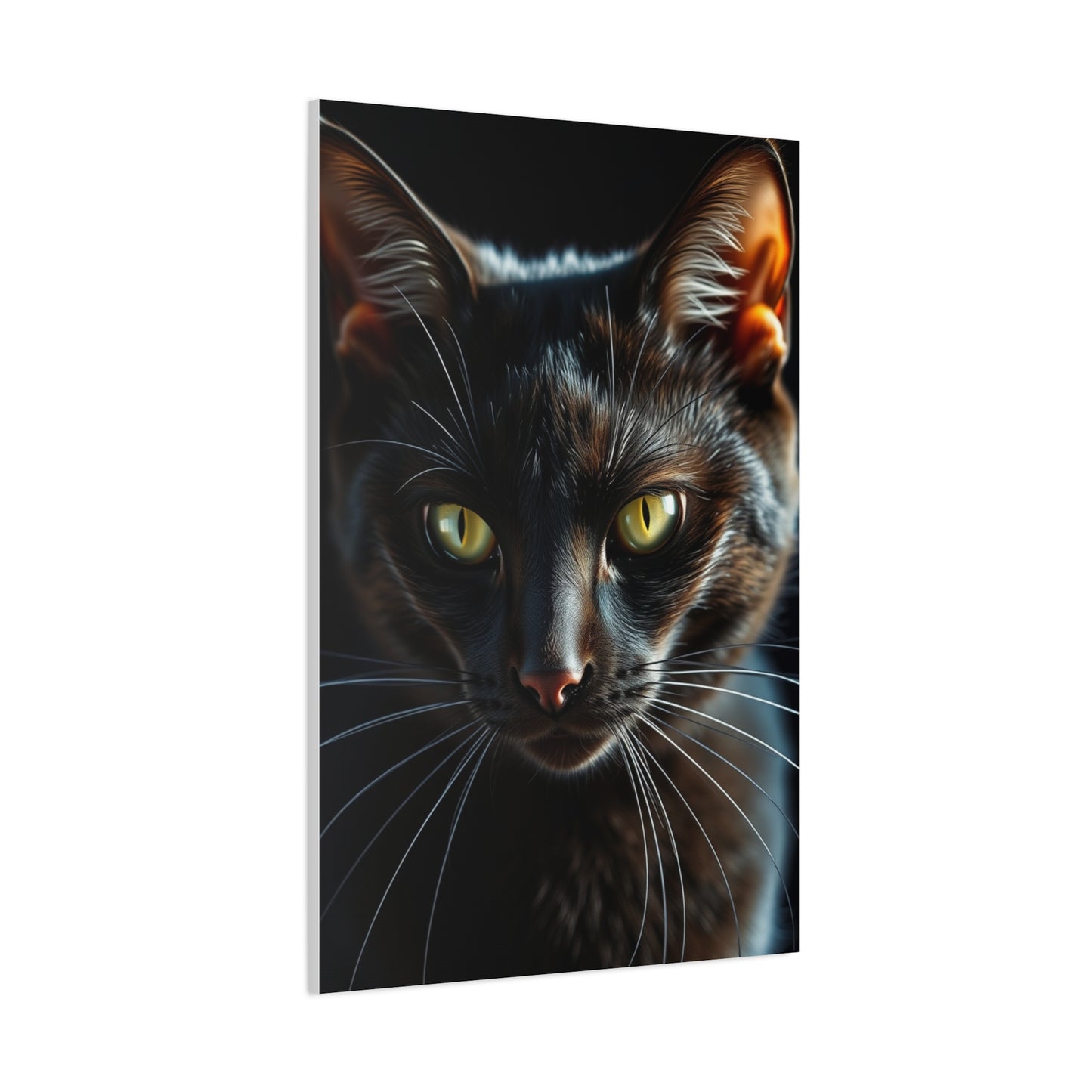 Vision Black Cat Art Art Wall Art & Canvas Print