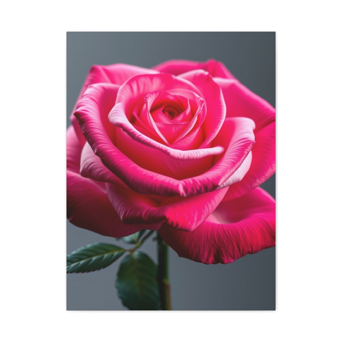 Rose Flower Art Luxury Canvas Wall Art & Canvas Print