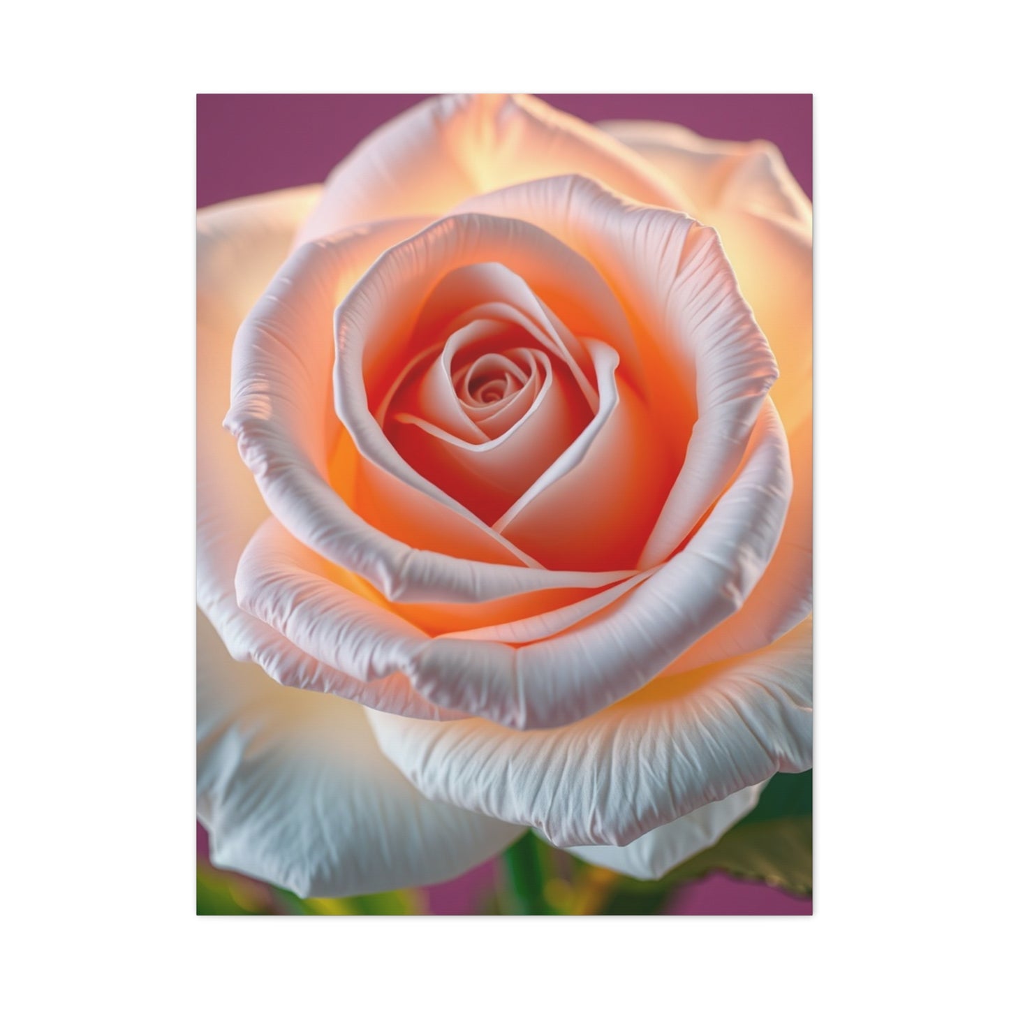 Rose Art Supreme Gallery Wall Art & Canvas Print