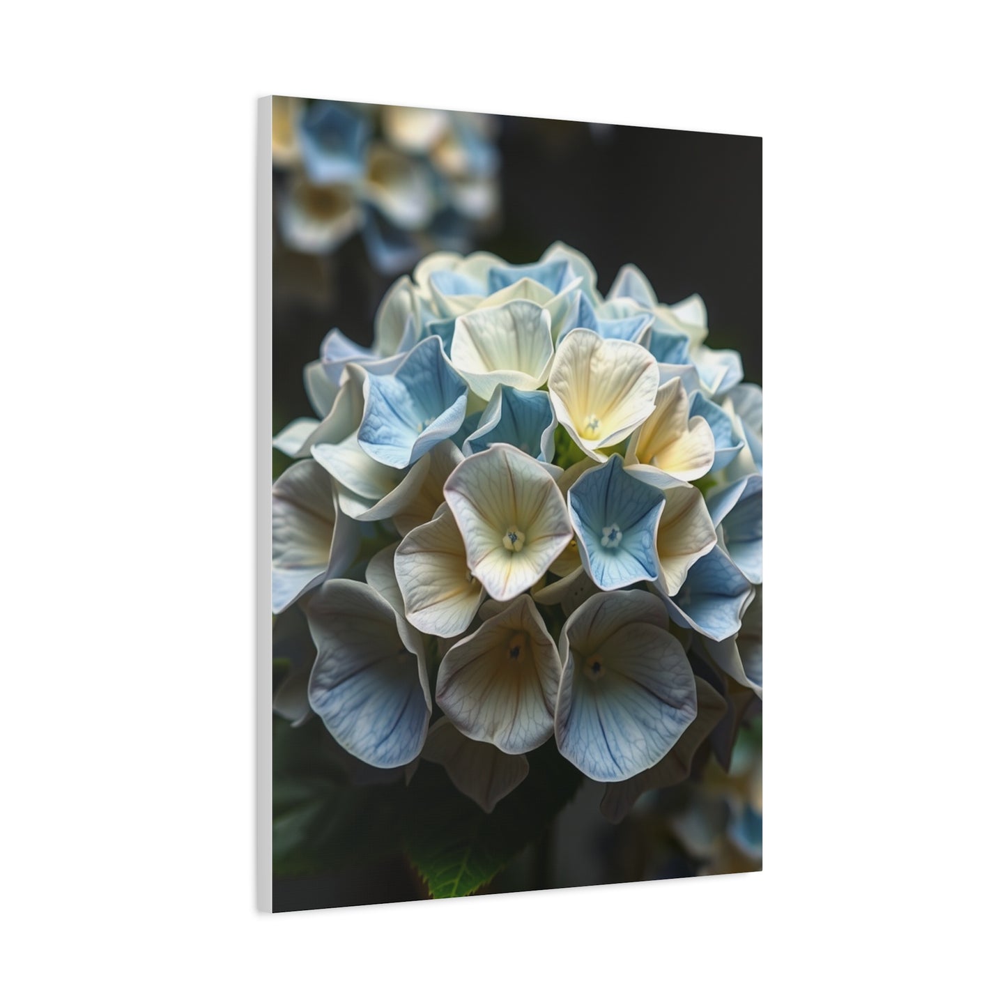Masterpiece Hydrangea Flower Art Vision Wall Art & Canvas Print