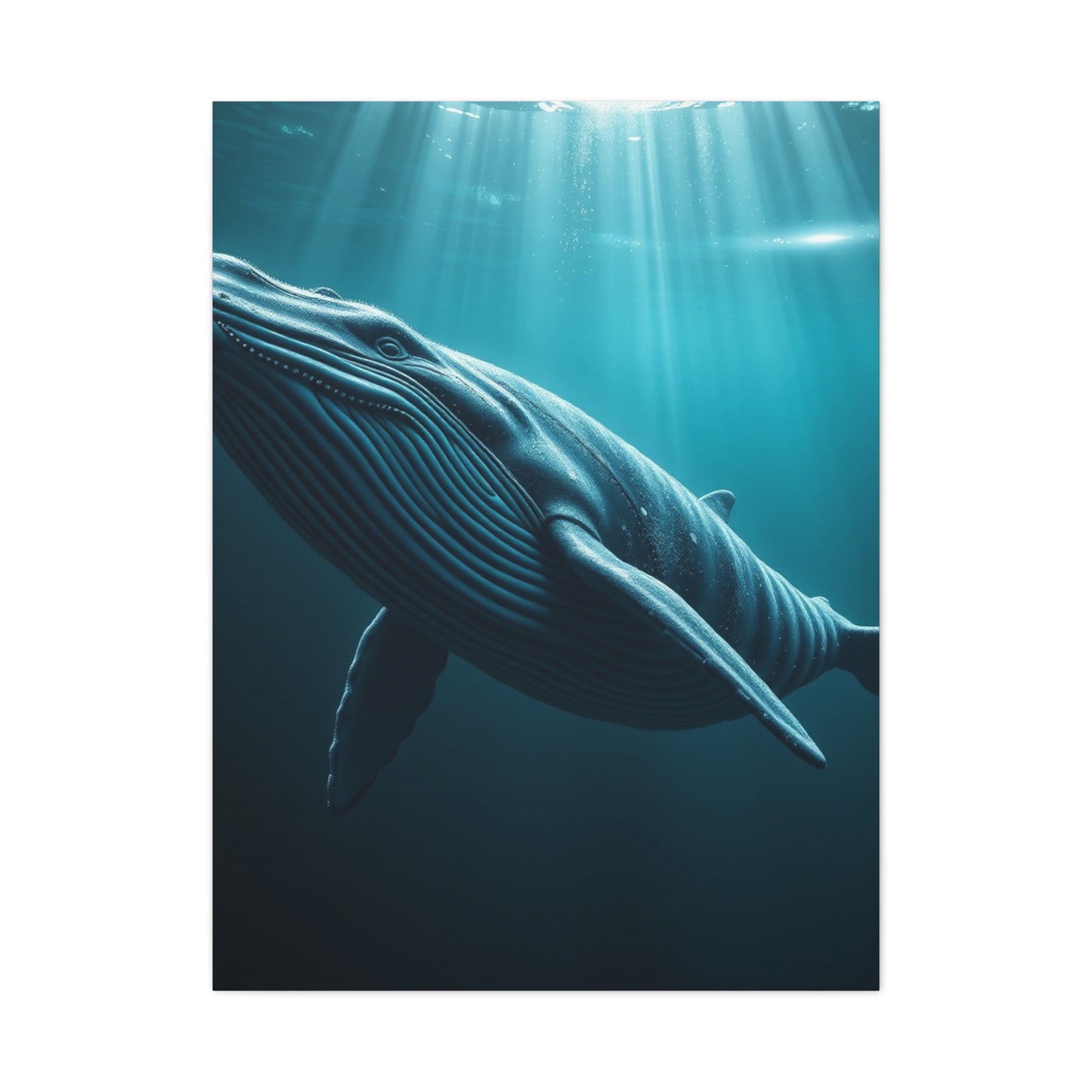 Supreme Whale Art Collection Wall Art & Canvas Print