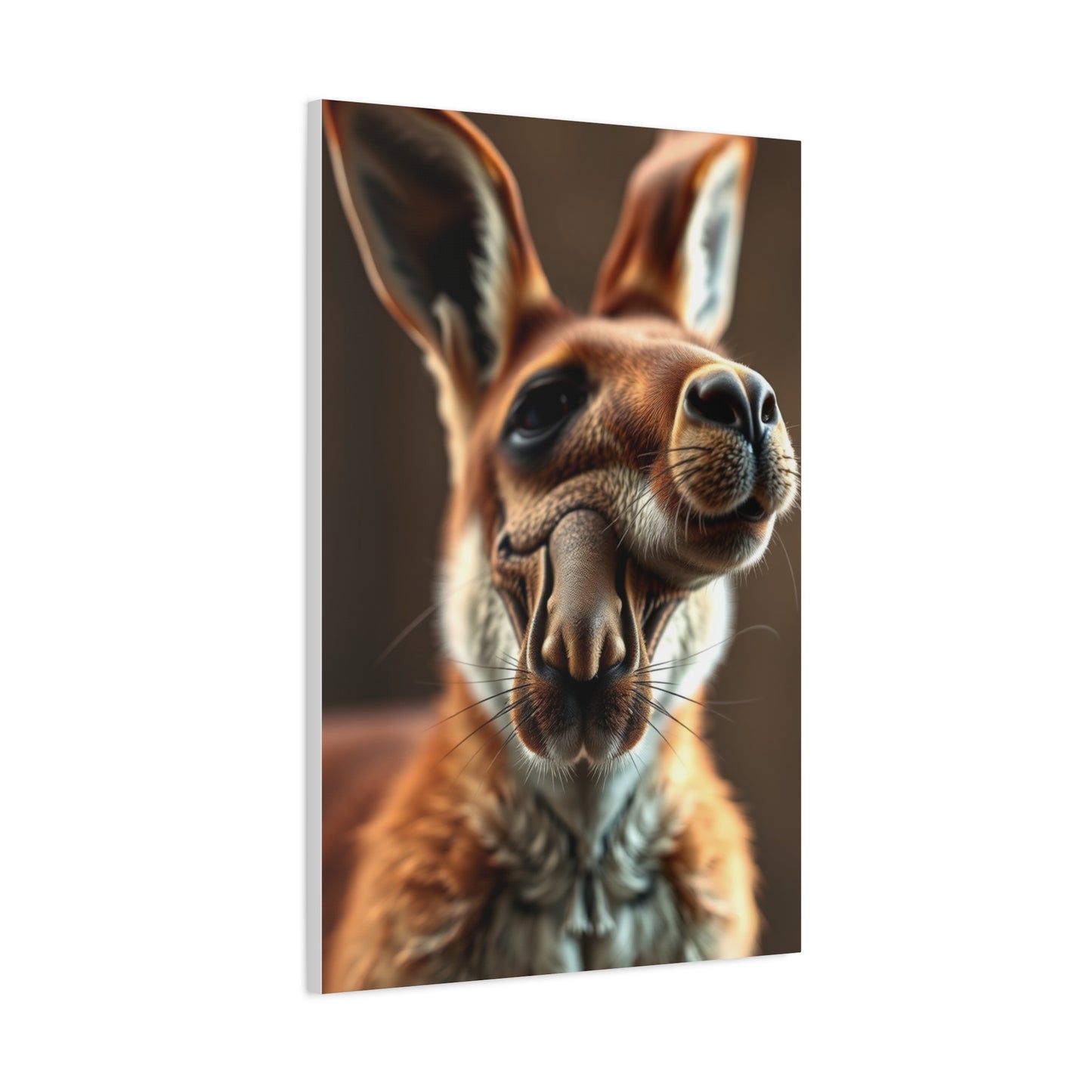 Supreme Kangaroo Art Collection Wall Art & Canvas Print