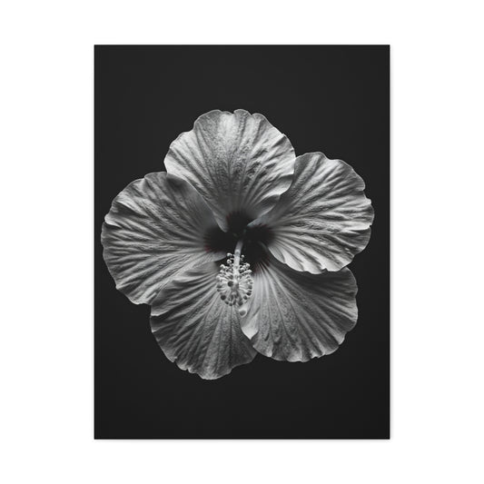 Monochrome Hibiscus Elegance Wall Art & Canvas Prints