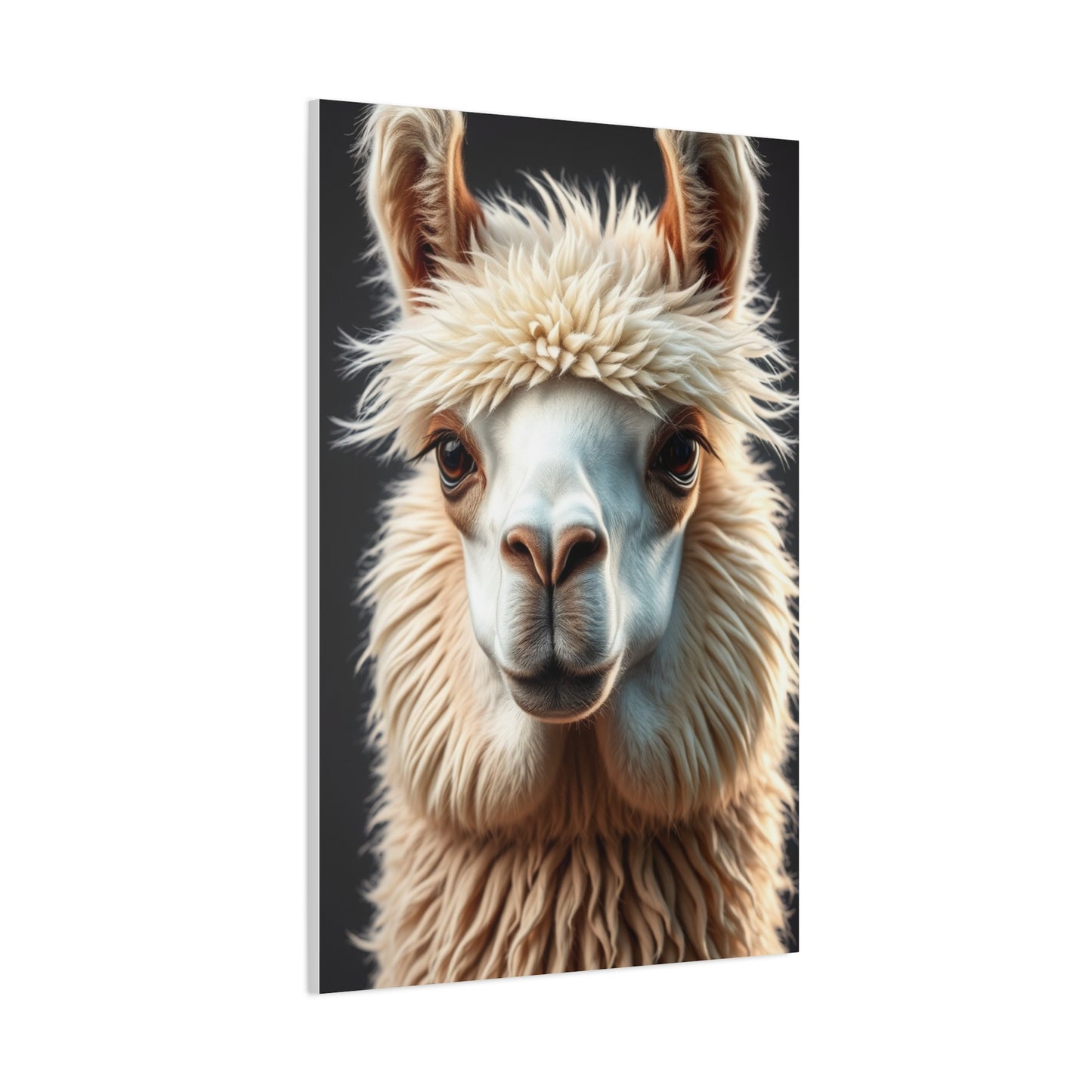 Elite Llama & Alpaca Art Vision Wall Art & Canvas Print