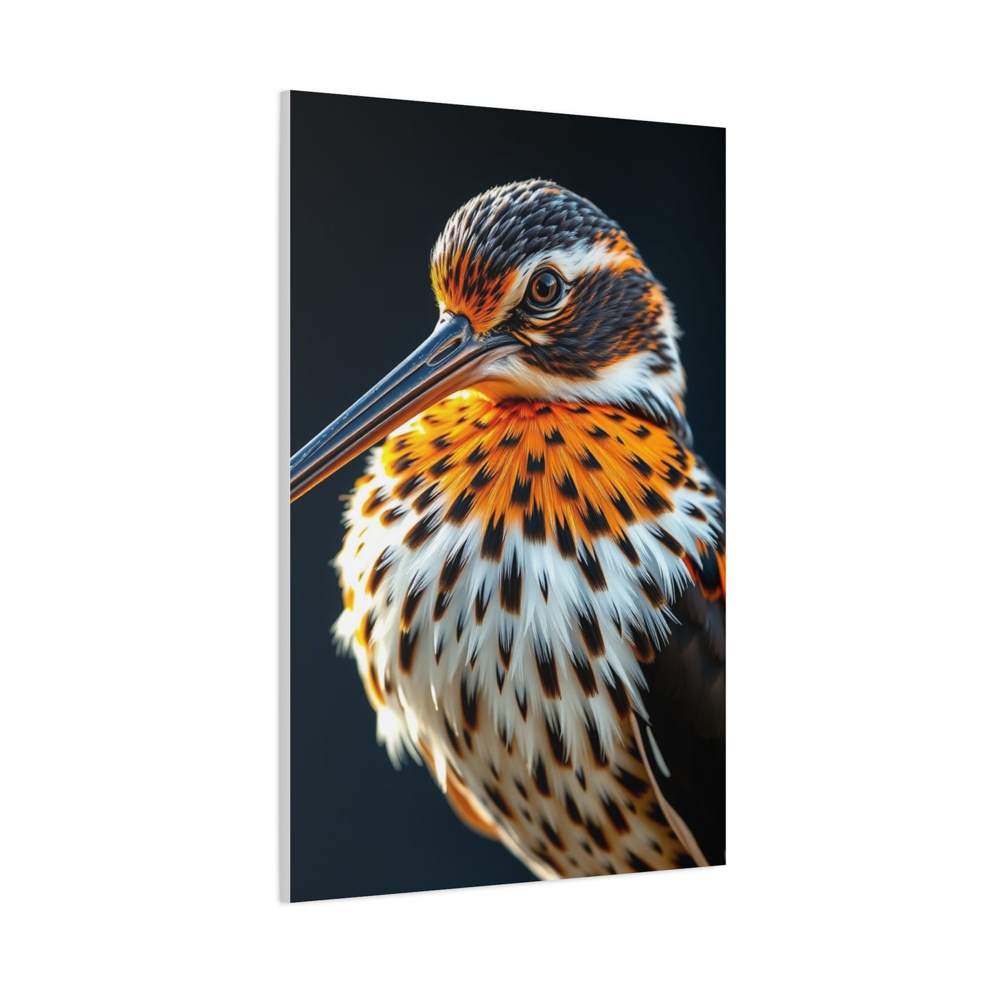 Supreme Sandpiper Art Collection Wall Art & Canvas Print