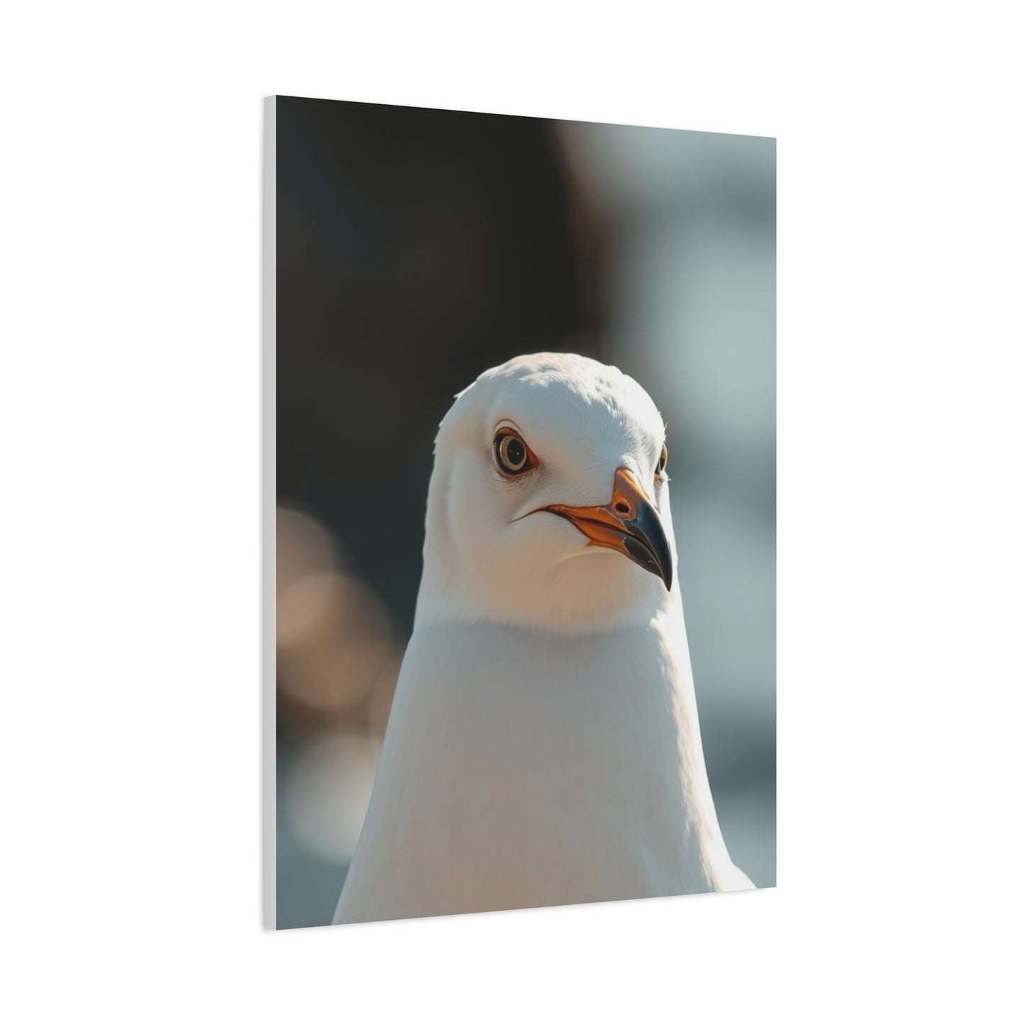 Sea Gull Art Supreme Gallery Wall Art & Canvas Print
