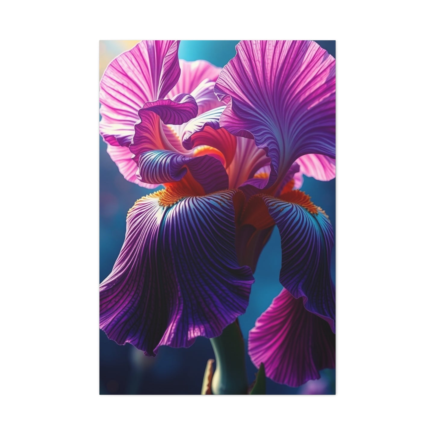 Supreme Iris Scott Art Collection Wall Art & Canvas Print