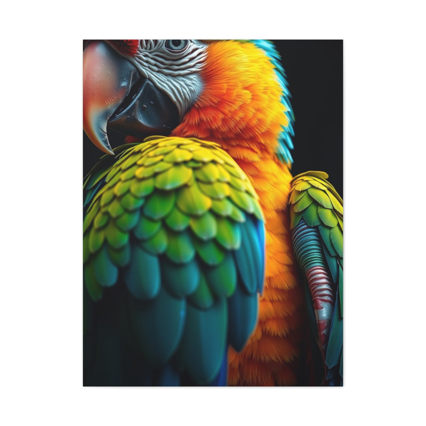 Collection Parrot Art Art Wall Art & Canvas Print