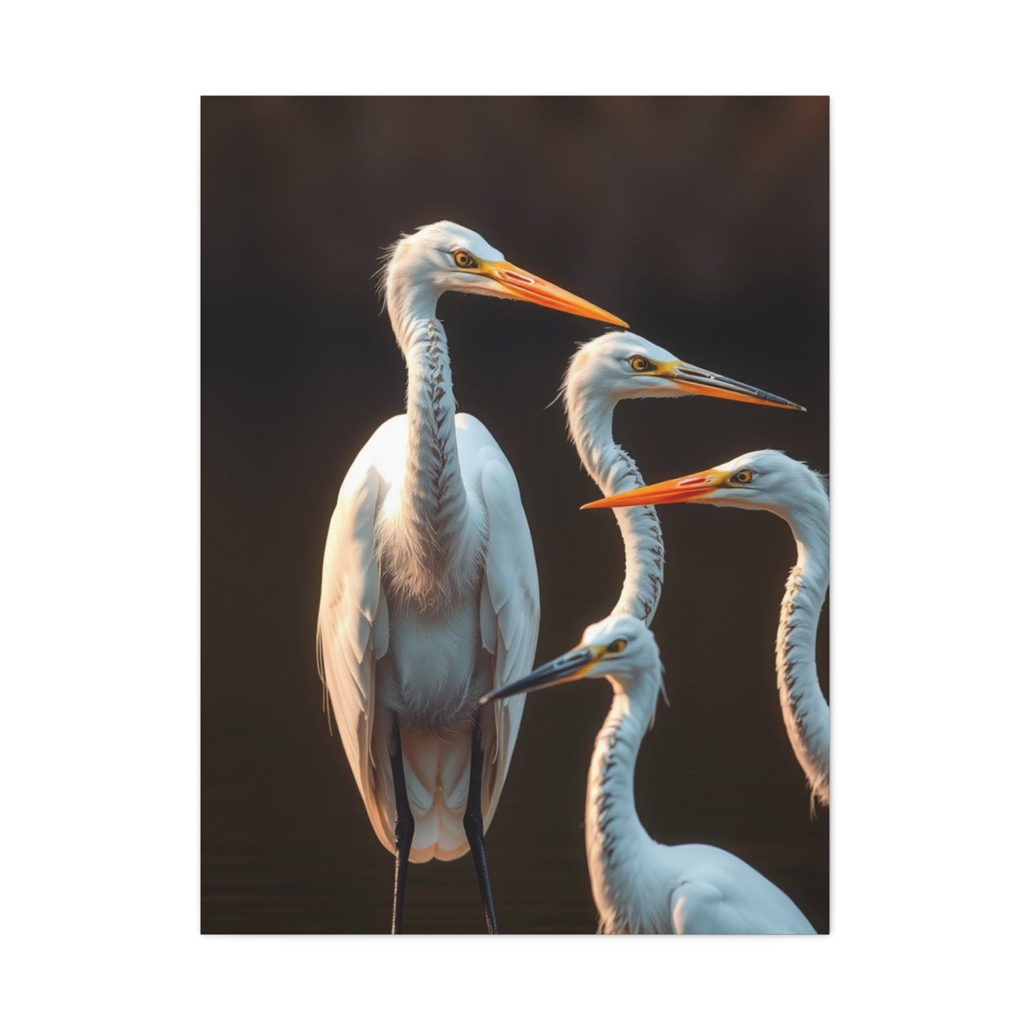 Elite Herons and Egrets Art Vision Wall Art & Canvas Print