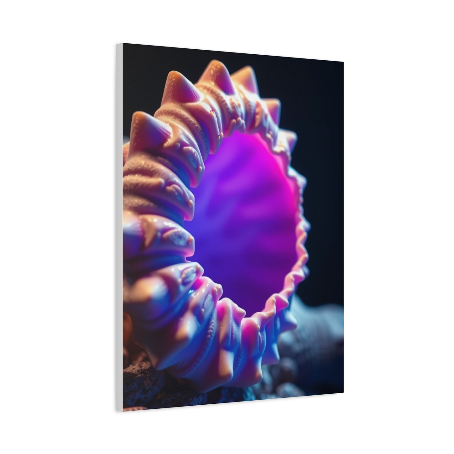 Supreme Sea Shell Art Collection Wall Art & Canvas Print