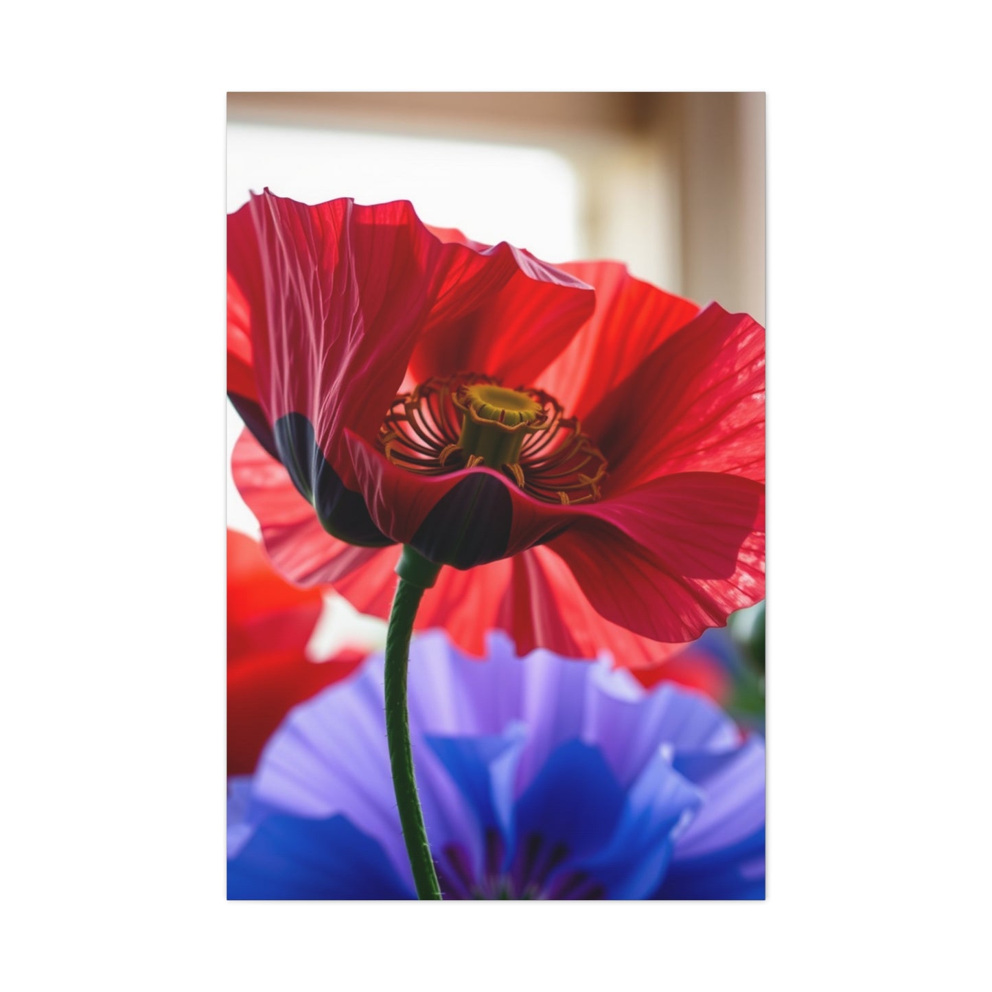 Collection Poppy Flower Art Art Wall Art & Canvas Print