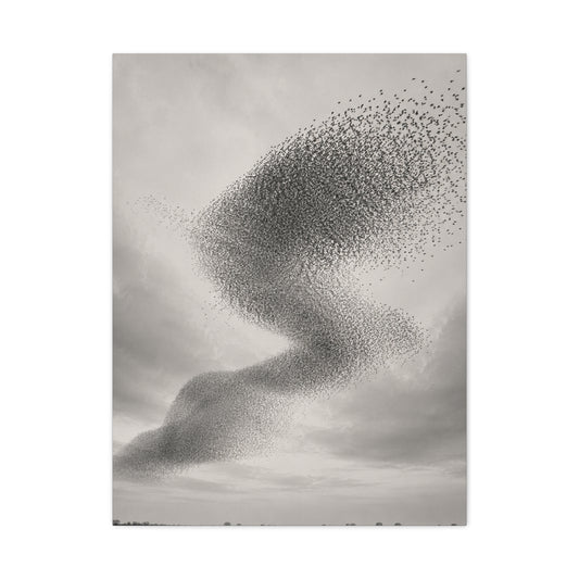 Murmuration Love Formation Monochrome Wall Art & Canvas Print
