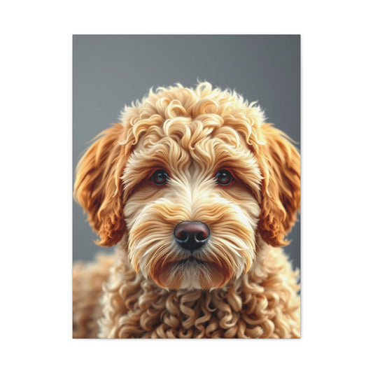 Supreme Golden Doodle Art Collection Wall Art & Canvas Print