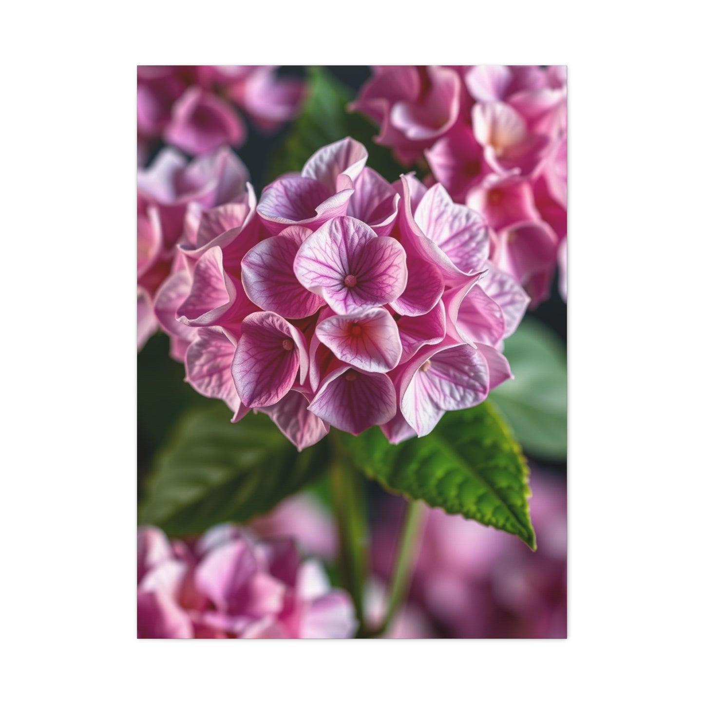 Supreme Hydrangea Flower Art Collection Wall Art & Canvas Print