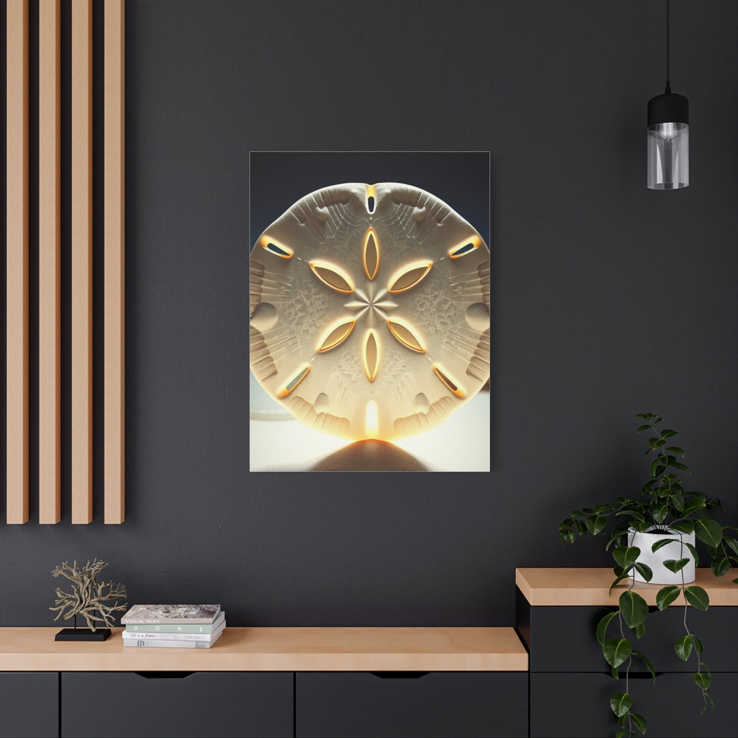Collection Sand Dollar Art Art Wall Art & Canvas Print