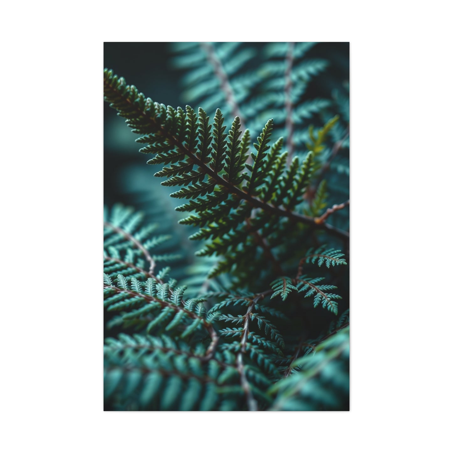 Collection Fern Art Art Wall Art & Canvas Print